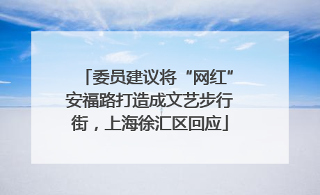 委员建议将“网红”安福路打造成文艺步行街，上海徐汇区回应