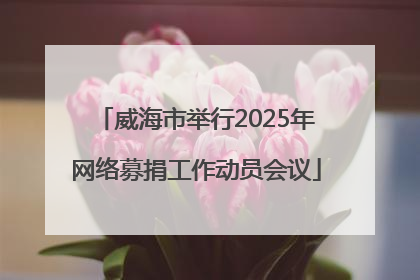 威海市举行2025年网络募捐工作动员会议