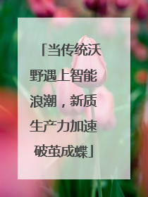 当传统沃野遇上智能浪潮，新质生产力加速破茧成蝶