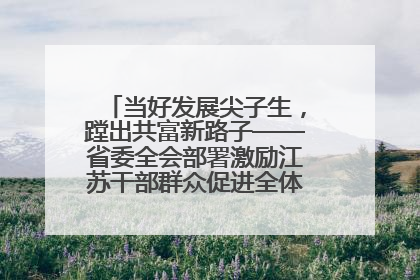 当好发展尖子生，蹚出共富新路子——省委全会部署激励江苏干部群众促进全体人民共同富裕