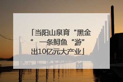 当阳山泉育“黑金” 一条鲟鱼“游”出10亿元大产业
