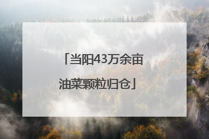 当阳43万余亩油菜颗粒归仓