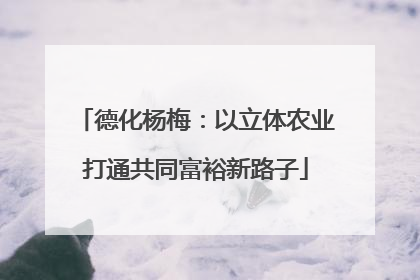 德化杨梅：以立体农业打通共同富裕新路子