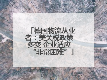 德国物流从业者：美关税政策多变 企业适应“非常困难”