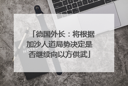 德国外长：将根据加沙人道局势决定是否继续向以方供武