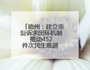 德州：建立重复诉求闭环机制 推动452 件次民生难题 “案结事了”