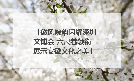 徽风皖韵闪耀深圳文博会 六尺巷领衔展示安徽文化之美