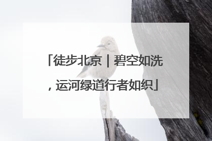 徒步北京｜碧空如洗，运河绿道行者如织