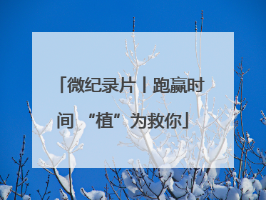 微纪录片丨跑赢时间 “植”为救你