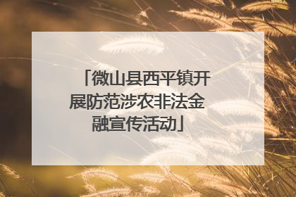 微山县西平镇开展防范涉农非法金融宣传活动