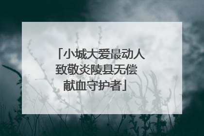 小城大爱最动人 致敬炎陵县无偿献血守护者