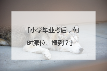 小学毕业考后，何时派位、报到？