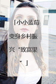 小小蓝莓变身乡村振兴“致富果”