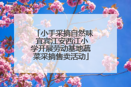 小手采摘自然味 宜宾江安西江小学开展劳动基地蔬菜采摘售卖活动