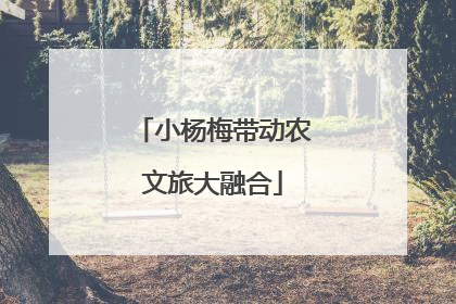 小杨梅带动农文旅大融合