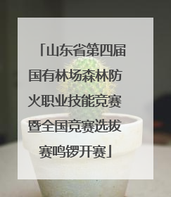 山东省第四届国有林场森林防火职业技能竞赛暨全国竞赛选拔赛鸣锣开赛