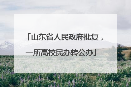 山东省人民政府批复，一所高校民办转公办