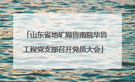 山东省地矿局鲁南院华鲁工程党支部召开党员大会