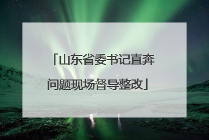 山东省委书记直奔问题现场督导整改