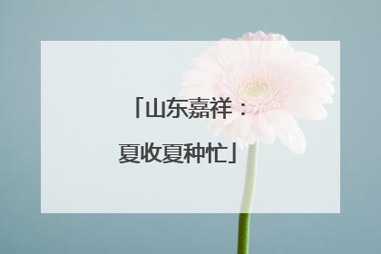 山东嘉祥：夏收夏种忙