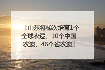 山东将梯次培育1个全球农遗、10个中国农遗、46个省农遗