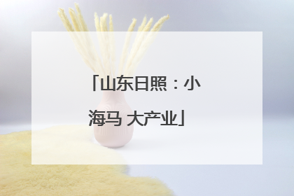 山东日照：小海马 大产业