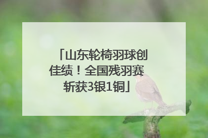 山东轮椅羽球创佳绩！全国残羽赛斩获3银1铜