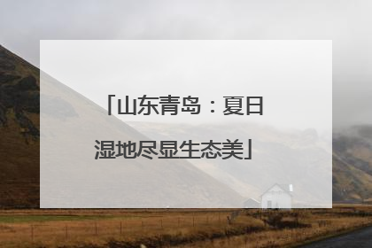 山东青岛：夏日湿地尽显生态美