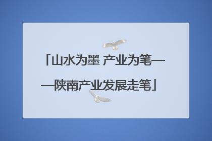 山水为墨 产业为笔——陕南产业发展走笔