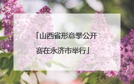 山西省形意拳公开赛在永济市举行