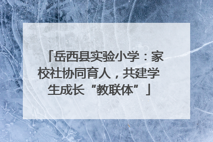 岳西县实验小学：家校社协同育人，共建学生成长“教联体”