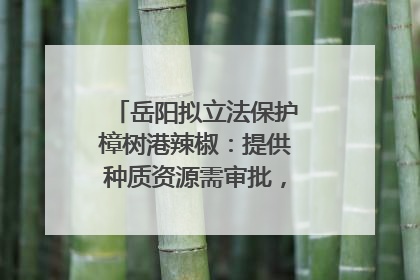 岳阳拟立法保护樟树港辣椒：提供种质资源需审批，违规最高罚5万