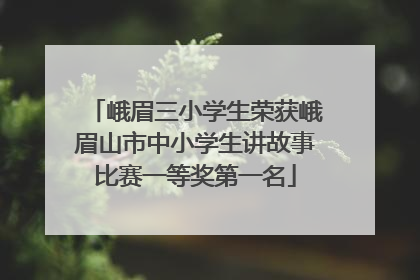 峨眉三小学生荣获峨眉山市中小学生讲故事比赛一等奖第一名