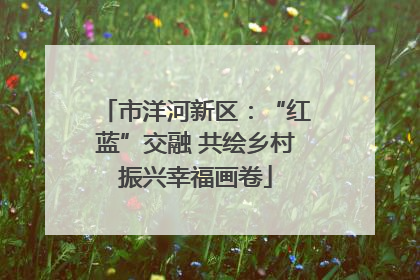 市洋河新区：“红蓝”交融 共绘乡村振兴幸福画卷