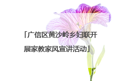 广信区黄沙岭乡妇联开展家教家风宣讲活动