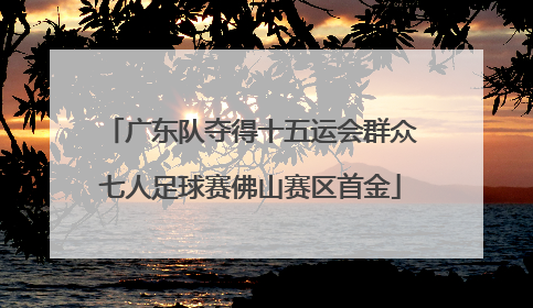 广东队夺得十五运会群众七人足球赛佛山赛区首金