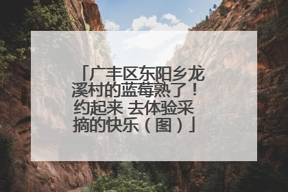 广丰区东阳乡龙溪村的蓝莓熟了！约起来 去体验采摘的快乐（图）