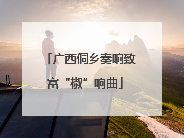 广西侗乡奏响致富“椒”响曲