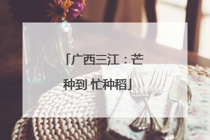 广西三江：芒种到 忙种稻