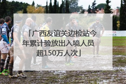 广西友谊关边检站今年累计验放出入境人员超150万人次