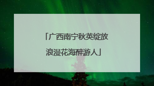 广西南宁秋英绽放 浪漫花海醉游人