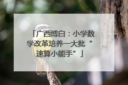 广西博白：小学数学改革培养一大批“速算小能手”