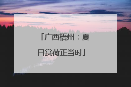 广西梧州：夏日赏荷正当时