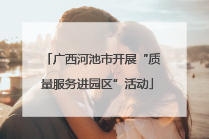 广西河池市开展“质量服务进园区”活动