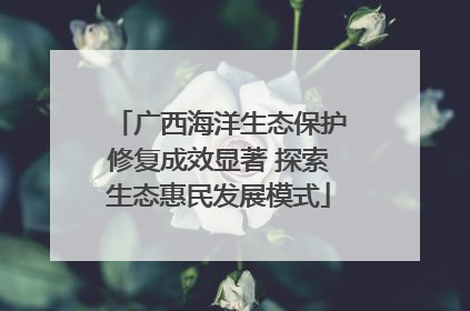 广西海洋生态保护修复成效显著 探索生态惠民发展模式