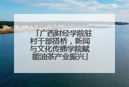 广西财经学院驻村干部搭桥，新闻与文化传播学院赋能油茶产业振兴