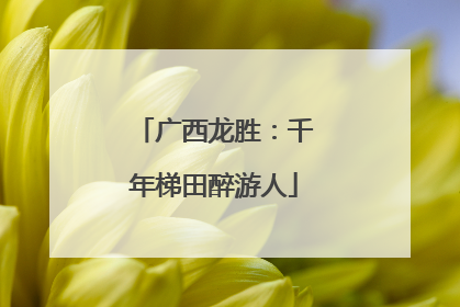广西龙胜：千年梯田醉游人