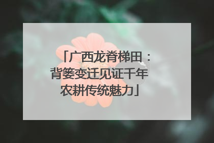 广西龙脊梯田：背篓变迁见证千年农耕传统魅力