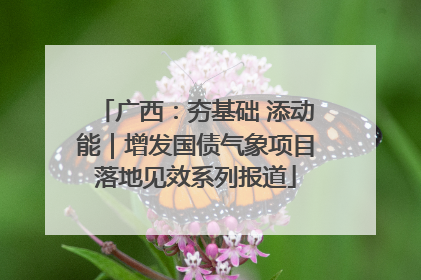 广西：夯基础 添动能｜增发国债气象项目落地见效系列报道