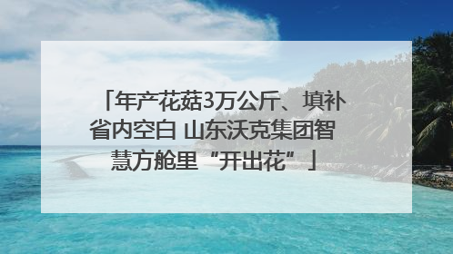 年产花菇3万公斤、填补省内空白 山东沃克集团智慧方舱里“开出花”